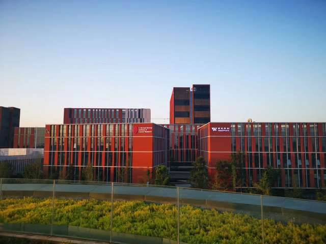 松江区疾病动物模型建模